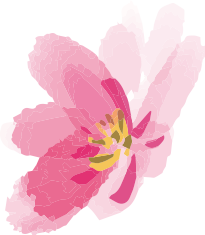 姫路・明石・加古川・神戸で婚活するならAmbitious姫路 | Ambitious姫路