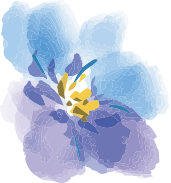 姫路・明石・加古川・神戸で婚活するならAmbitious姫路 | Ambitious姫路