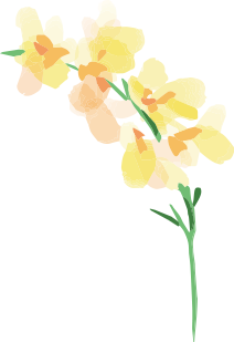 姫路・明石・加古川・神戸で婚活するならAmbitious姫路 | Ambitious姫路