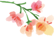 姫路・明石・加古川・神戸で婚活するならAmbitious姫路 | Ambitious姫路